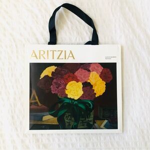 Aritzia Shopping Gift Bag Caitlyn Murphy Art